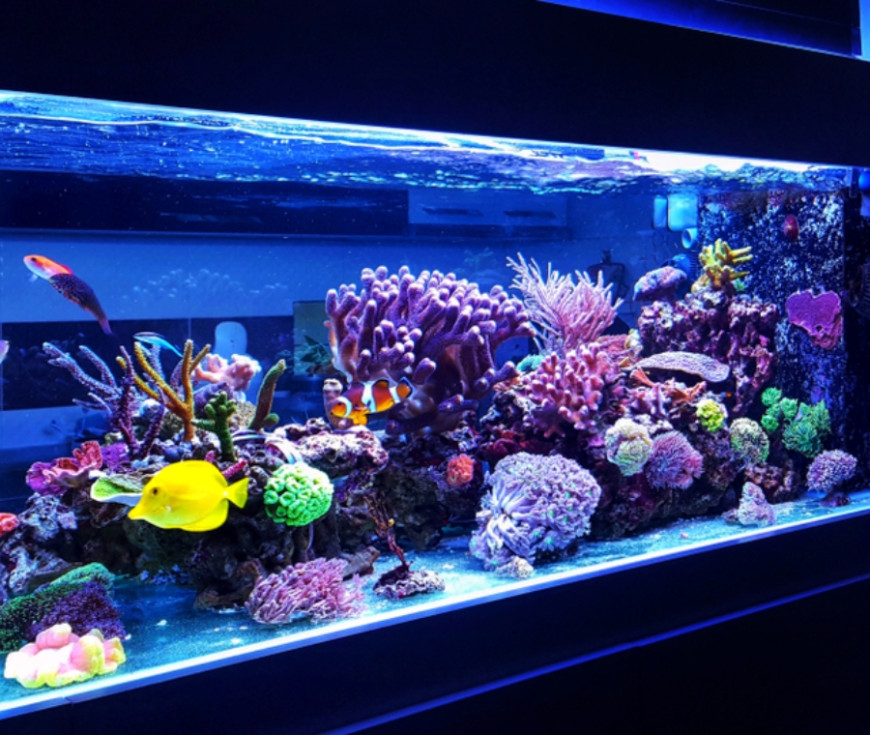 Aquarium water system